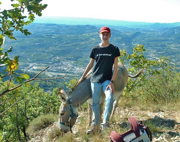 La Drugere - Gites Et Roulottes นียงส์ ภายนอก รูปภาพ